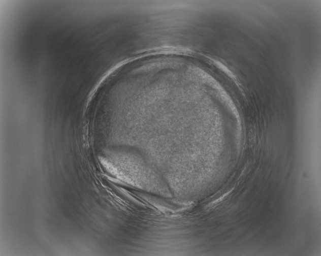 X0000081561310200702121345