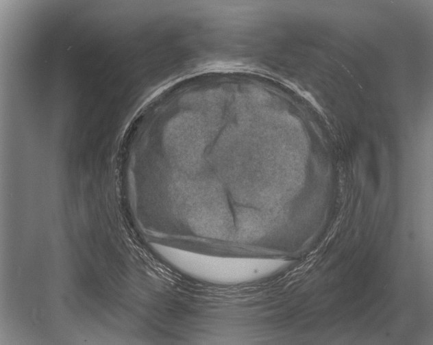 X0000081561311200702121345