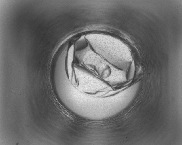 X0000081561312200702121345