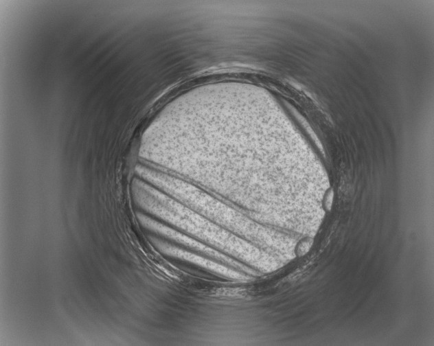 X0000081561313200702121345