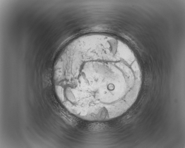 X0000081561314200702121345