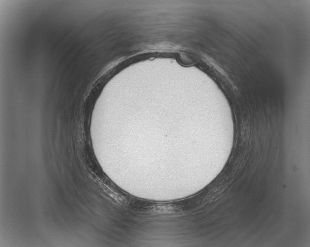 X0000081561315200702121345