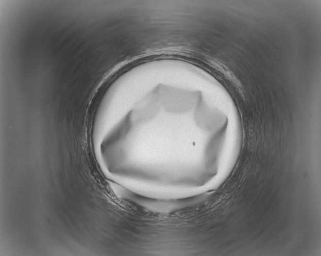 X0000081561316200702121345