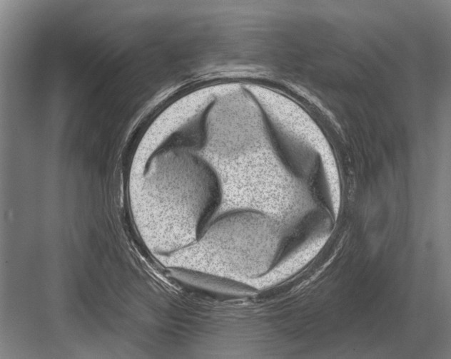 X0000081561317200702121345