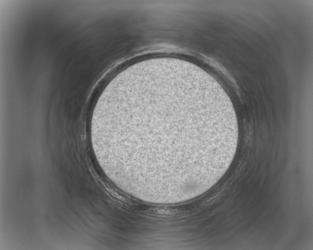 X0000081561318200702121345