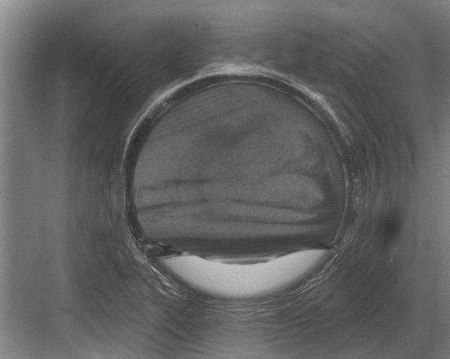 X0000081561319200702121345