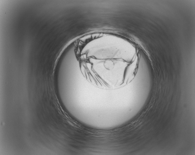 X0000081561320200702121345