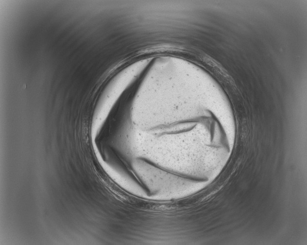 X0000081561321200702121345