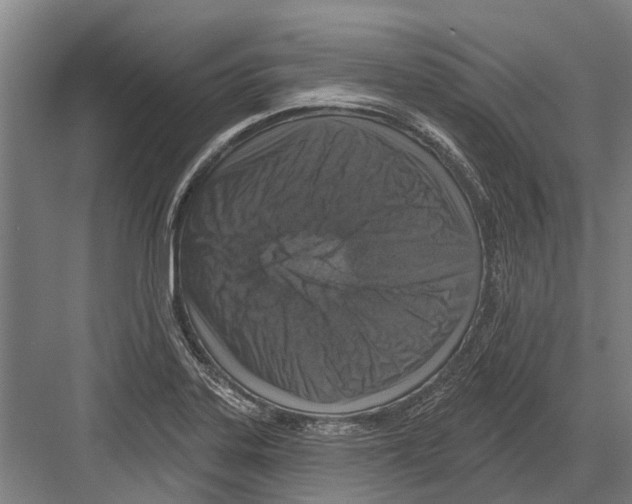 X0000081561323200702121345