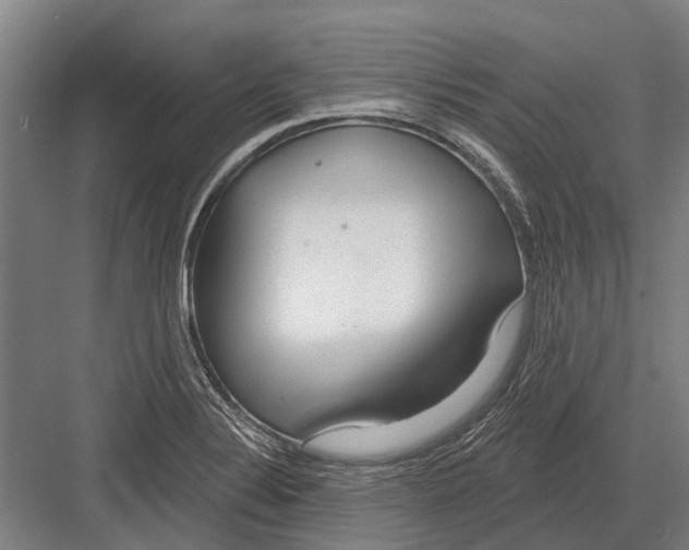 X0000081561324200702121345