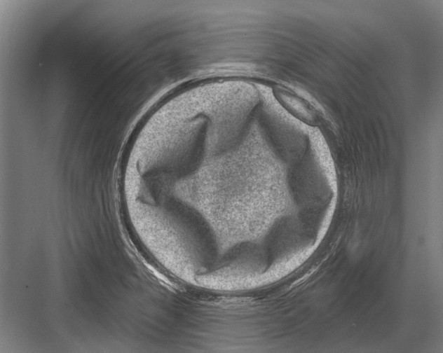 X0000081561325200702121345