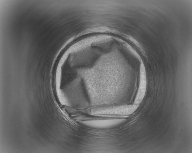 X0000081561326200702121345