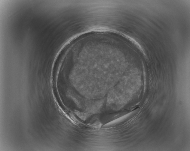 X0000081561327200702121345