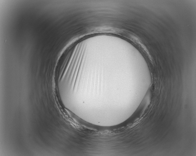 X0000081561328200702121345