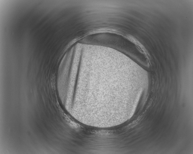 X0000081561329200702121345