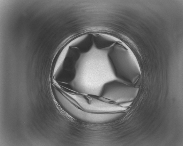 X0000081561330200702121345