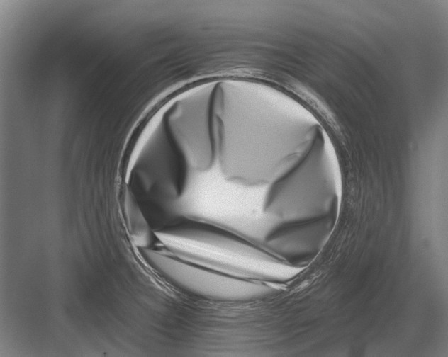 X0000081561332200702121346