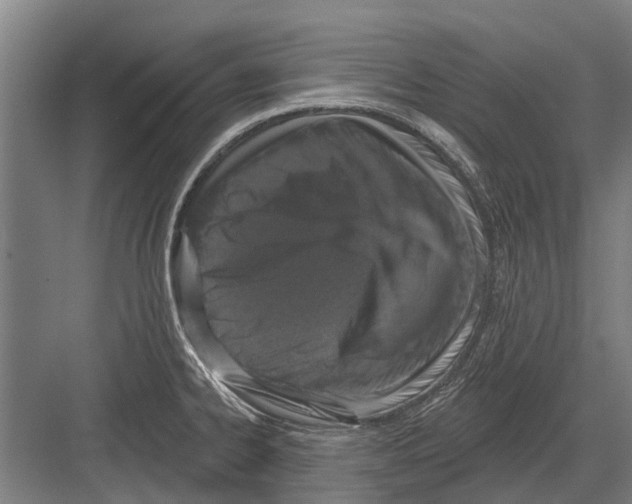 X0000081561334200702121346