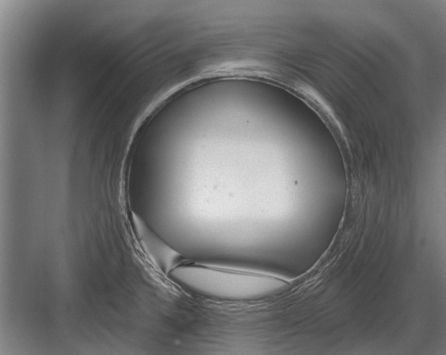X0000081561336200702121346