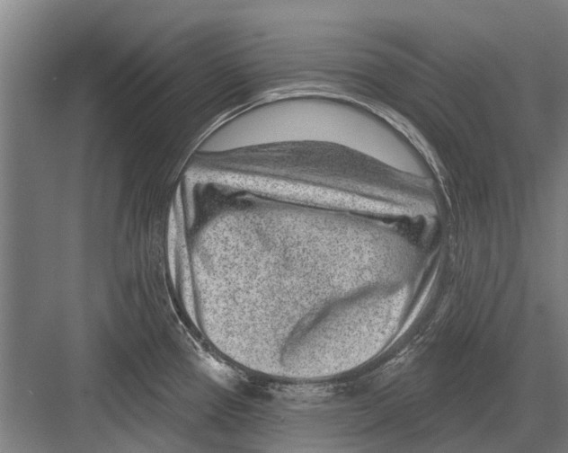 X0000081561337200702121346