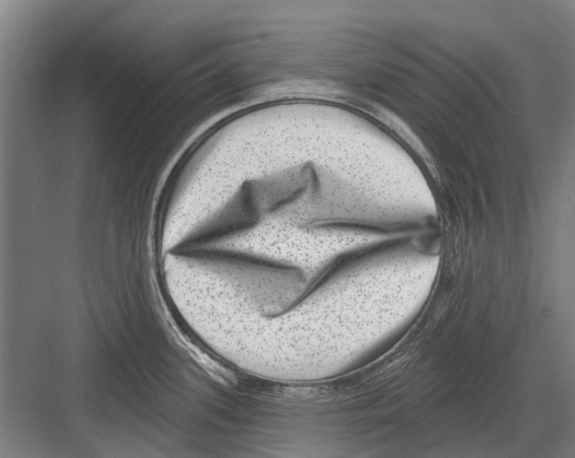 X0000081561339200702121346