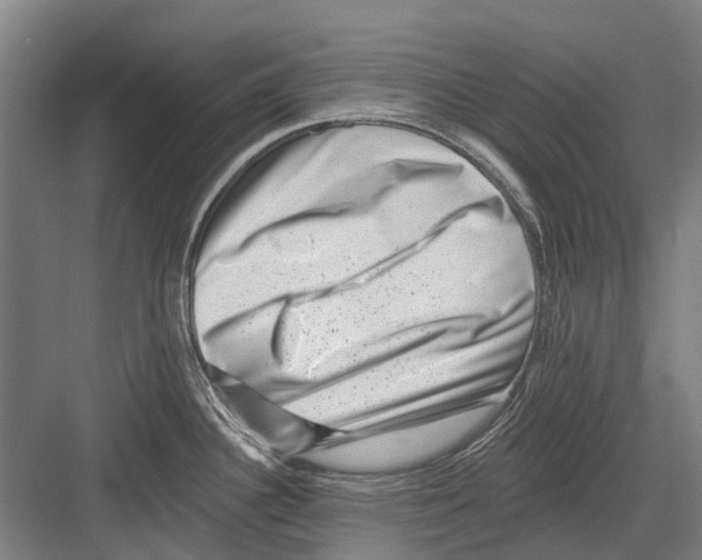 X0000081561340200702121346