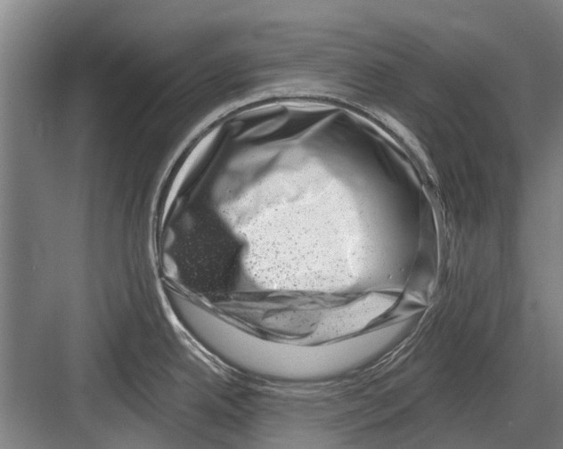 X0000081561342200702121346