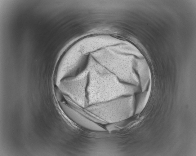 X0000081561344200702121346