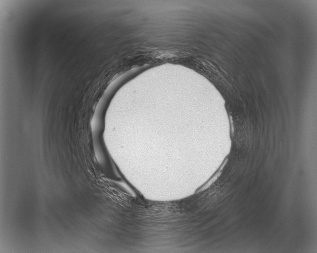 X0000081561345200702121345