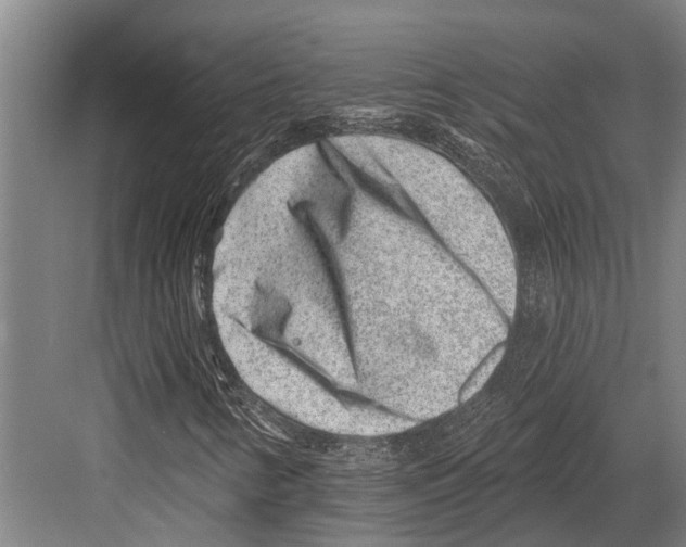 X0000081561346200702121345