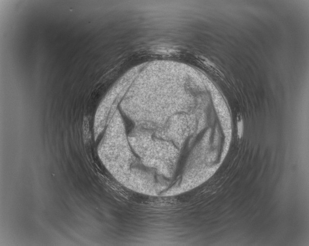 X0000081561347200702121345