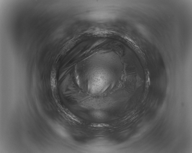 X0000081561348200702121345