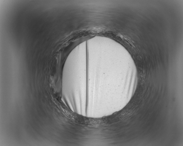 X0000081561349200702121345