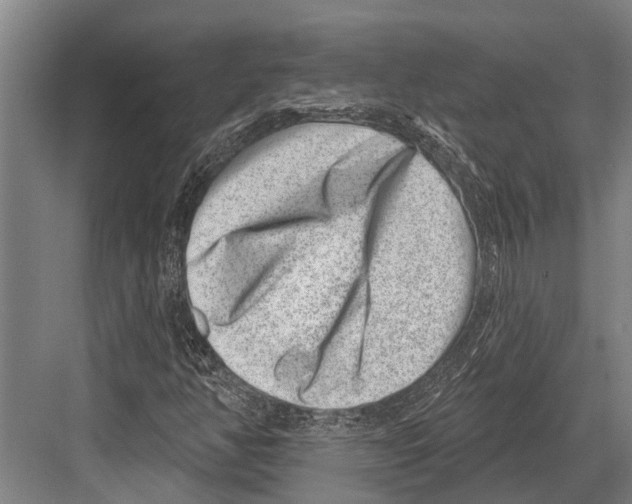 X0000081561350200702121345