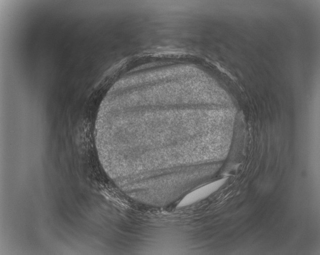 X0000081561351200702121345