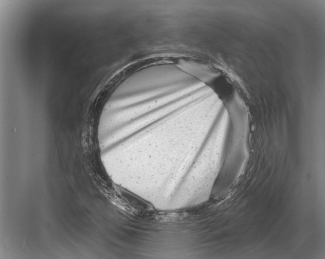 X0000081561352200702121345