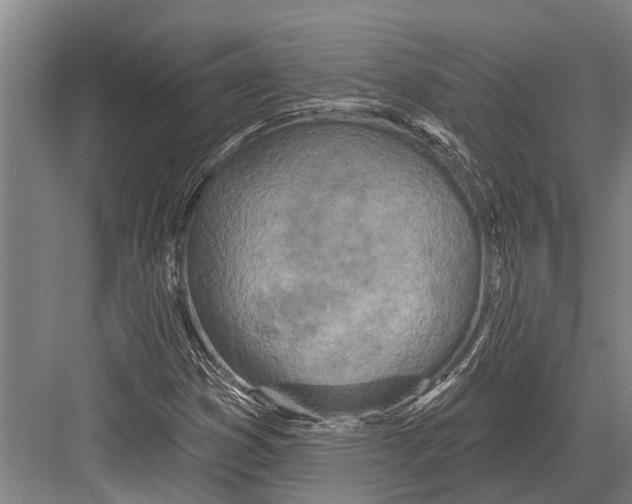 X0000081561353200702121345