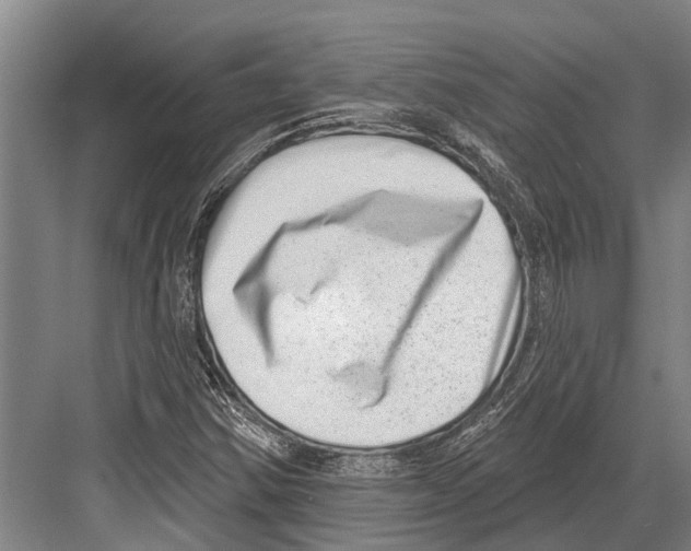 X0000081561354200702121345