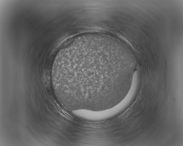 X0000081561355200702121345