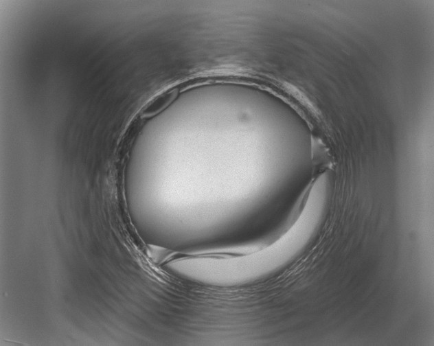 X0000081561356200702121345