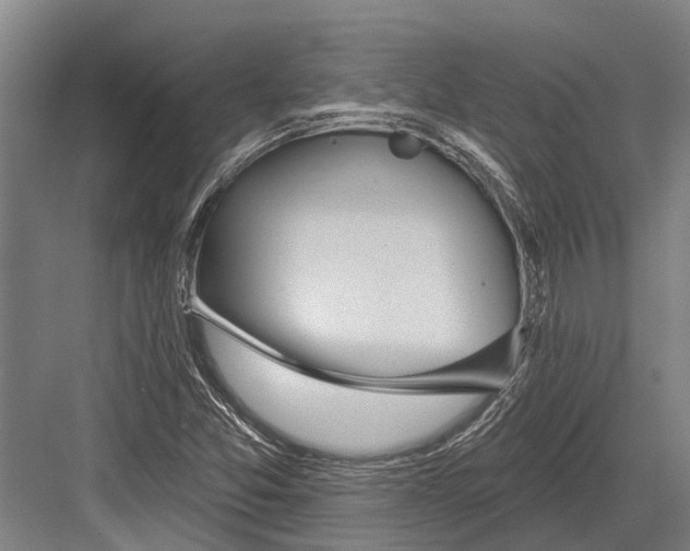 X0000081561357200702121345