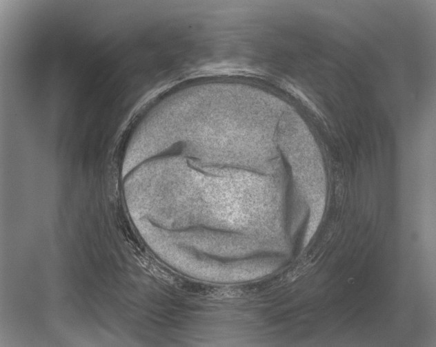 X0000081561358200702121345