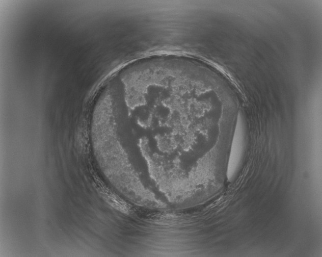 X0000081561359200702121345