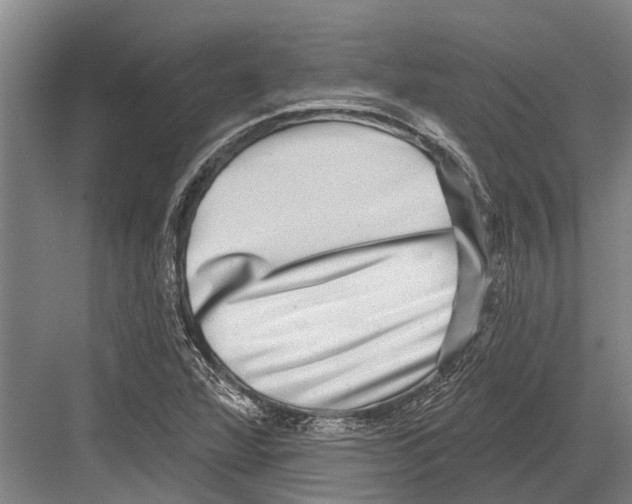 X0000081561360200702121345