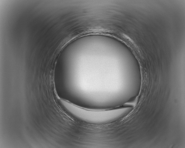 X0000081561361200702121345