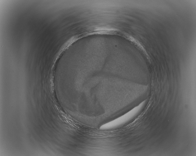 X0000081561362200702121345