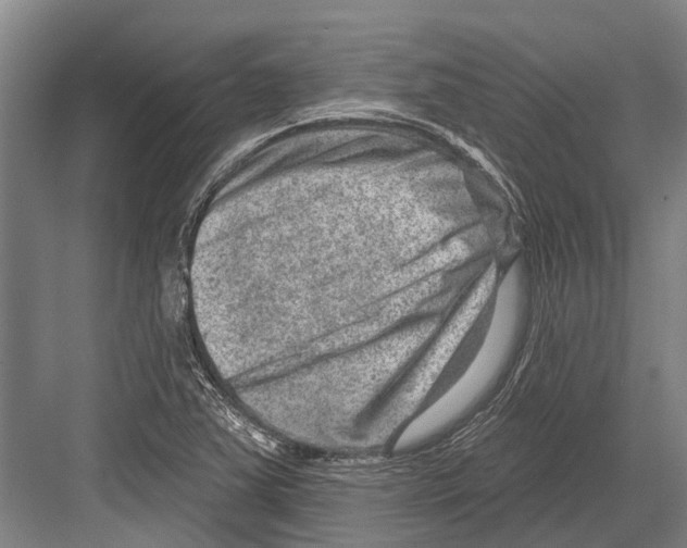 X0000081561363200702121345