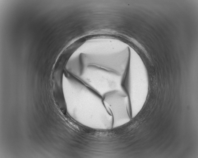 X0000081561364200702121345