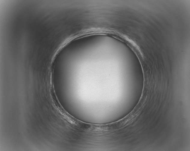 X0000081561365200702121345