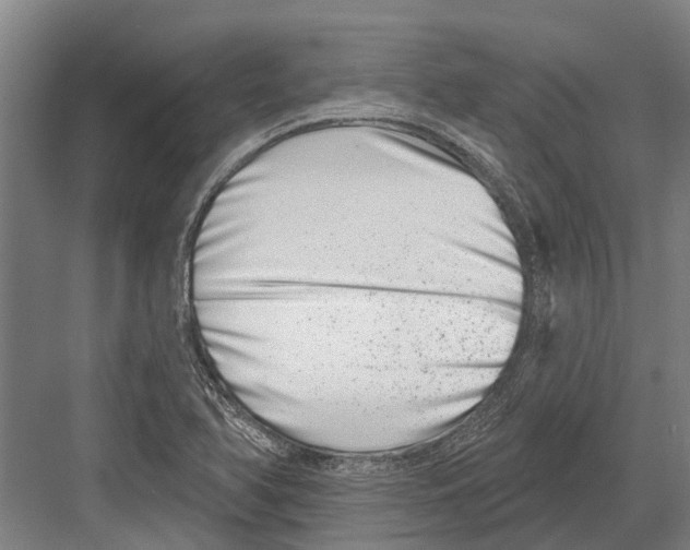 X0000081561366200702121345